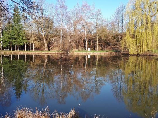 Bahndammweiher Gründau-2