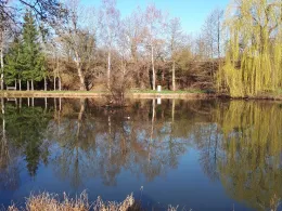 Bahndammweiher Gründau-2