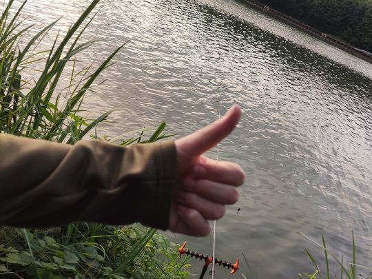 Mittellandkanal (Recke)-4