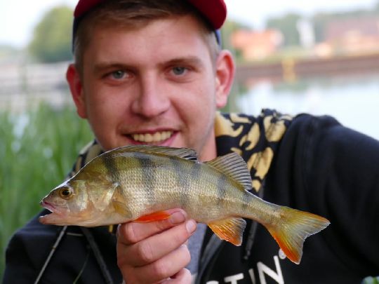 Mittellandkanal (Recke)-2