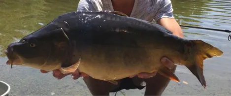 Kiesgruben 1-7 (Ahrensdorf)-2