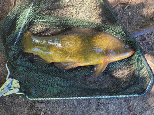 Kiesgruben 1-7 (Ahrensdorf)-4