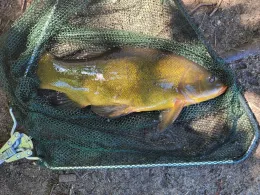 Kiesgruben 1-7 (Ahrensdorf)-4