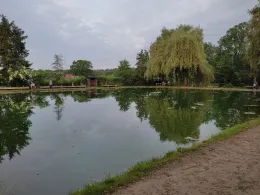 Forellenzucht Josef Strock-1