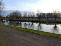 Nordumfluter (Alt Zauche)-2