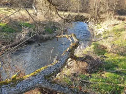 Weil (Weilmünster)-2