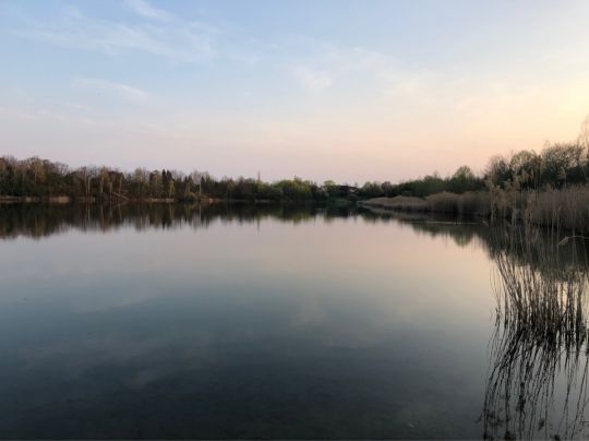 Kiesgrube Großzschocher (Leipzig)-4