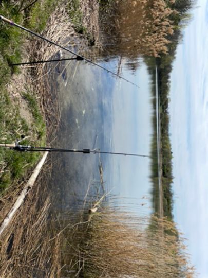 Kiesgrube Großzschocher (Leipzig)-2