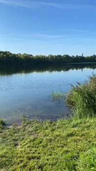 Kiesgrube Großzschocher (Leipzig)-1