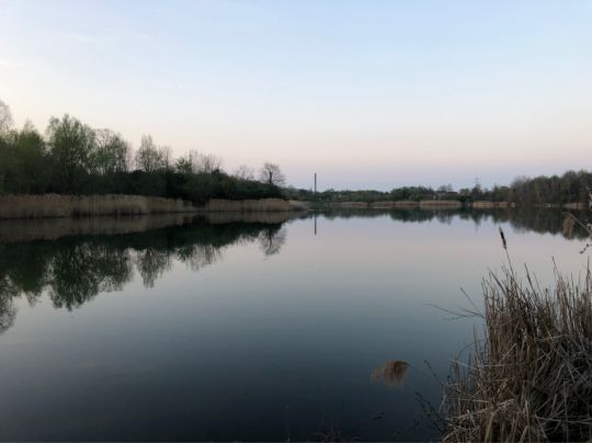 Kiesgrube Großzschocher (Leipzig)-3