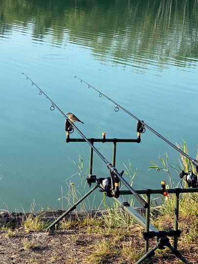 Baggersee Holzhausen (Leipzig)-2