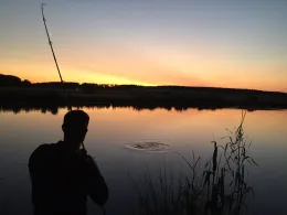 Schweighofteich (Amberg)