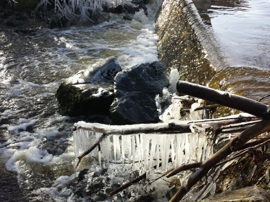 Kirnach (Biessenhofen)-0