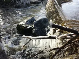 Kirnach (Biessenhofen)-0