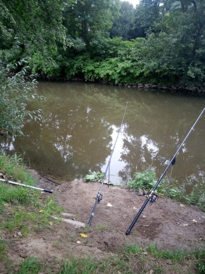 Nidda (Frankfurt-Nied)-1