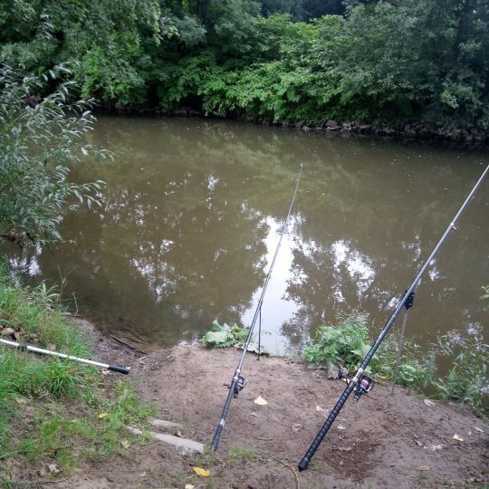 Nidda (Frankfurt-Nied)-2