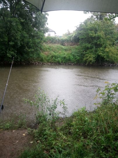 Nidda (Frankfurt-Nied)-3