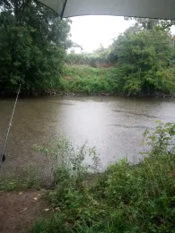 Nidda (Frankfurt-Nied)-3