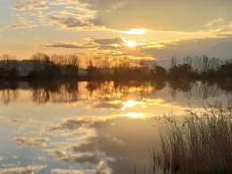 Reihersee (Geratal Kies)-3