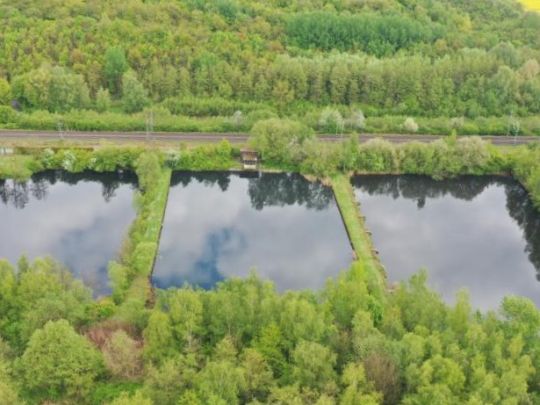 Angelteiche ASV Alt-Scharnhorst-1