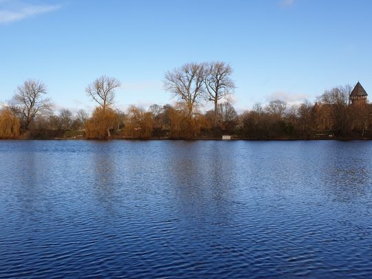 Linner Burgsee (Krefeld)-1
