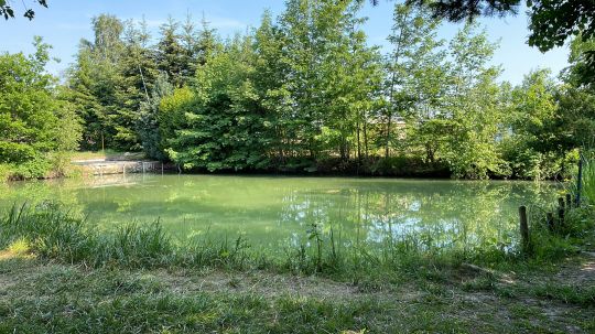 Teichanlage Goslar Baßgeige-2