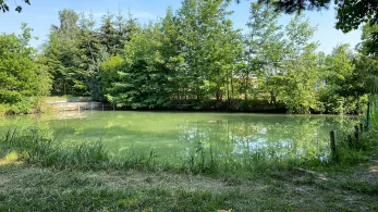 Teichanlage Goslar Baßgeige-2