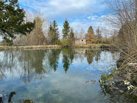 Teichanlage Goslar Baßgeige-1