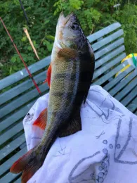 Flakenfließ (Erkner)-4