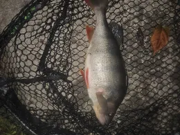 Flakenfließ (Erkner)