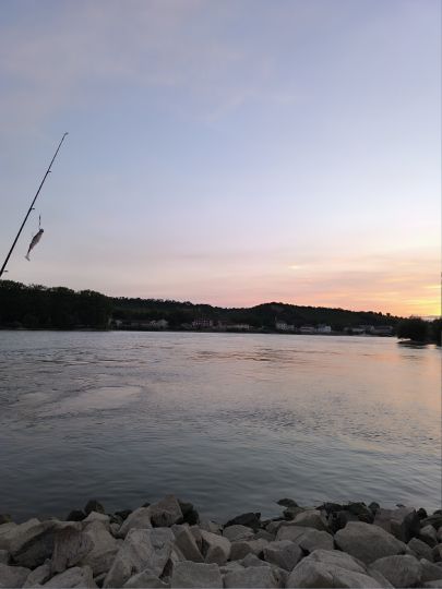 Rhein (Nierstein)