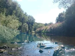 Sieg (Niederschelden-Eiserfeld)-4