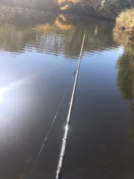 Sieg (Niederschelden-Eiserfeld)