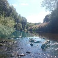 Sieg (Niederschelden-Eiserfeld)-3