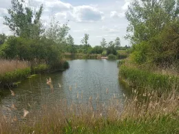 Rost's Loch (Lieskau)-1