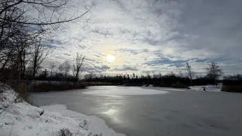 Rost's Loch (Lieskau)-3