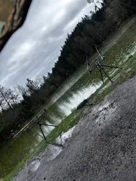 Aspachweiher (Oberreitnau)-3