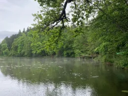 Aspachweiher (Oberreitnau)