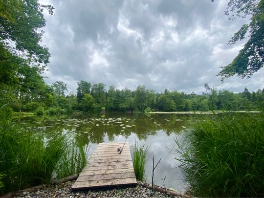 Aspachweiher (Oberreitnau)-1