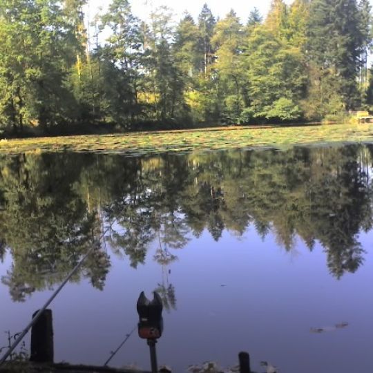 Aspachweiher (Oberreitnau)-3