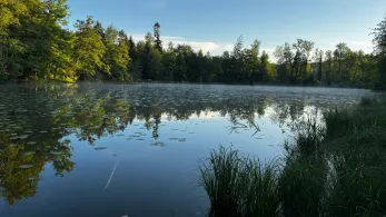 Aspachweiher (Oberreitnau)-4