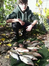 Vereinsee SAV Ziegelanger