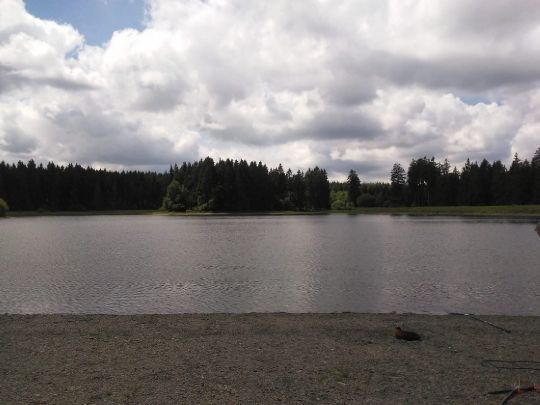 Kiefhölzer Teich ALLE ANGELN