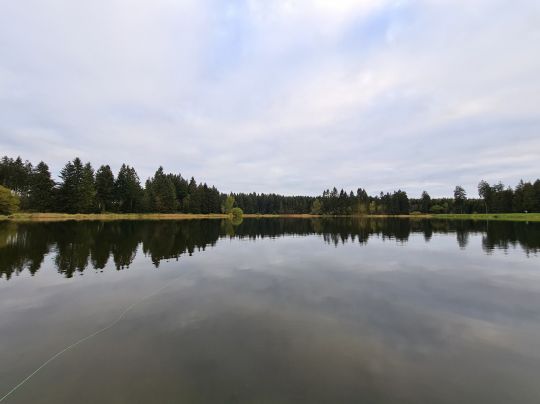Kiefhölzer Teich ALLE ANGELN