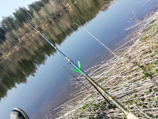 Ilzstausee Oberilzmühle-1