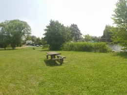 Étang de Diefenbach-4