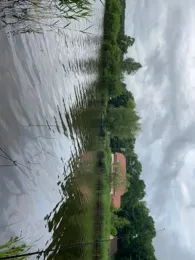 Étang de Diefenbach-2