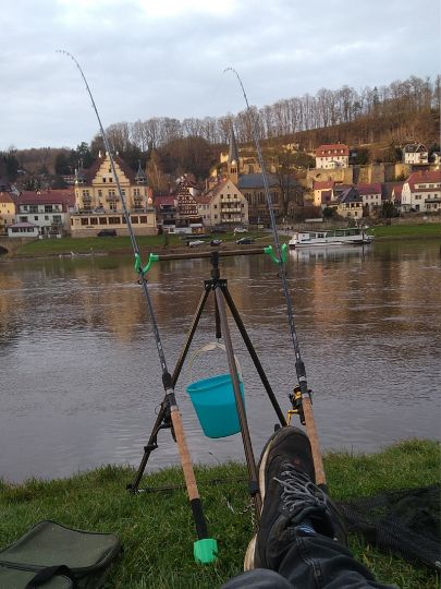 Elbe (Stadt Wehlen)-2