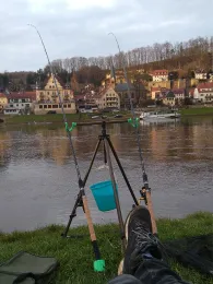 Elbe (Stadt Wehlen)-2