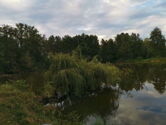 Georg-Smietana-See-2